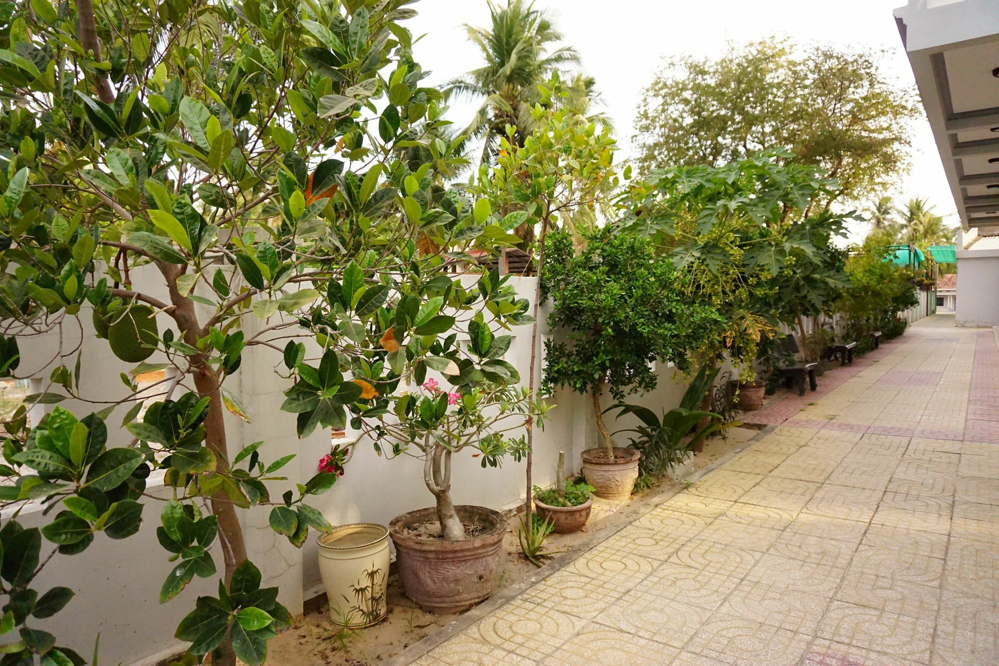 Cat Tien Guesthouse Μούι Νε Εξωτερικό φωτογραφία